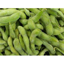 Frozen Edamame Taiwan 75 Frozen Edamame with Pod High Quality